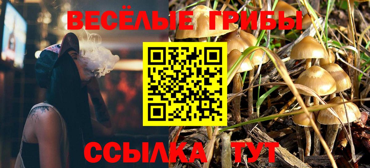 Кирово-Чепецк  Псилоцибиновые грибы мицелий  Вход с VPN  Псилоцибиновые грибы прущие грибы 